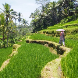 The land of the Gods – Bali